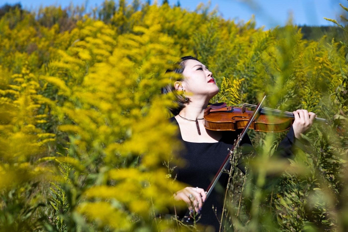 Erinka playing the violin in a field of yellow flowers