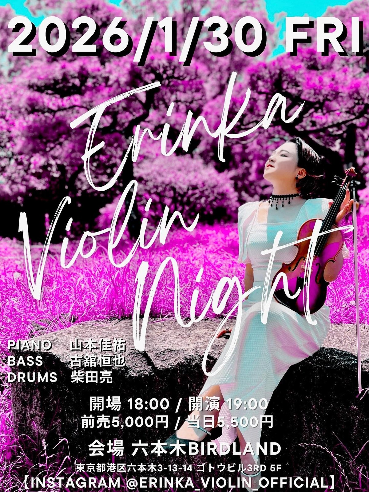 Cartel de Erinka Violin Night