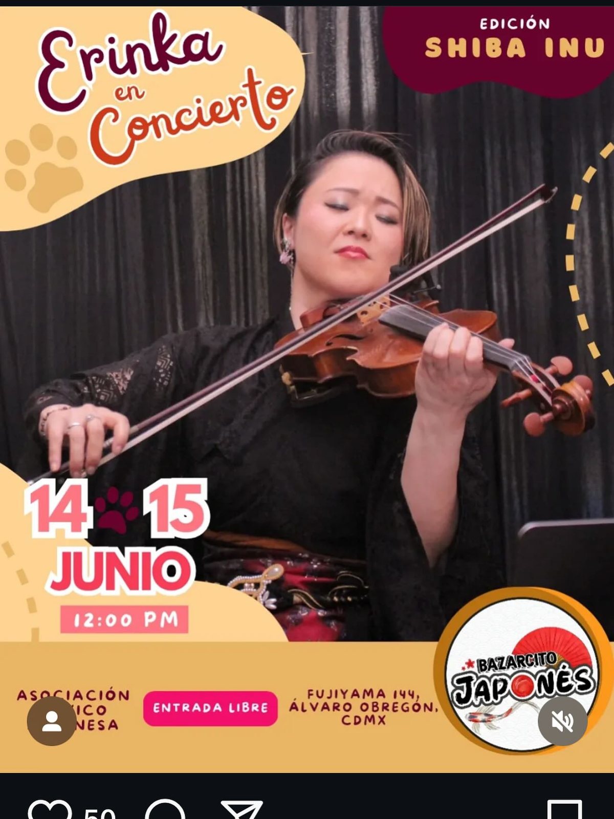 Erinka en Concierto（エディション・シバイヌ） のチラシ