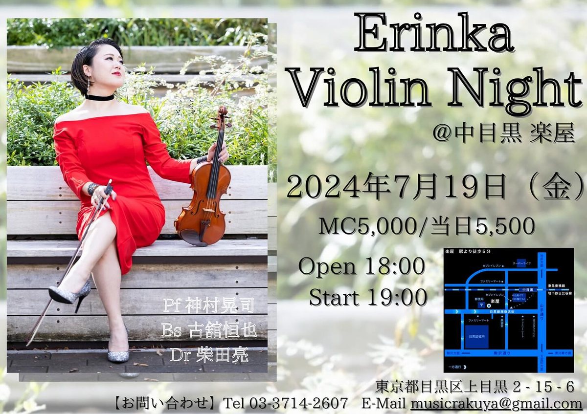 Erinka Violin Night のチラシ