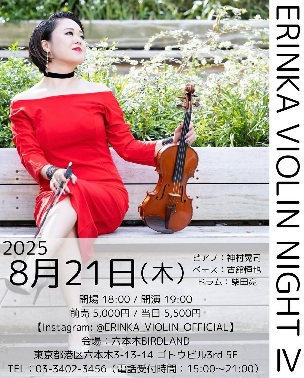 Cartel de ERINKA VIOLIN NIGHT IV
